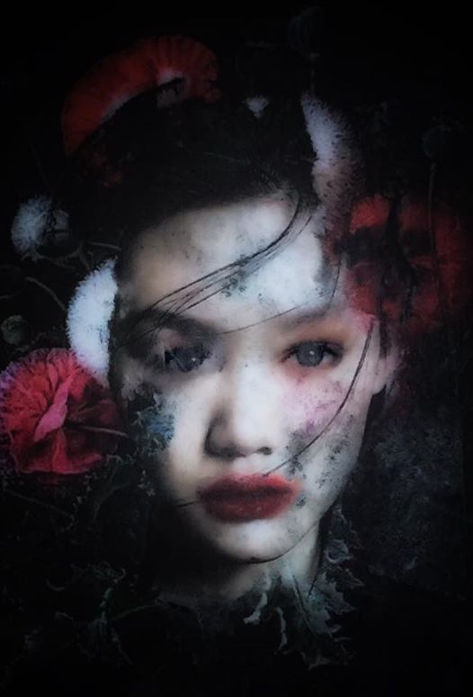 Caroline Reed - Rose Asia